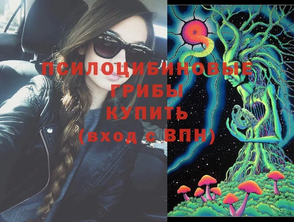 ПСИЛОЦИБИНОВЫЕ ГРИБЫ Армянск